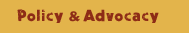 policy and advocacy